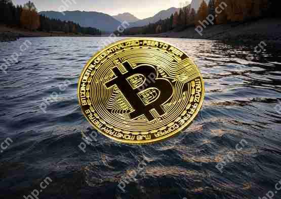 贝莱德ibit比特币现货etf连20日资金流入详解!高盛加码布局 成为市场关注焦点